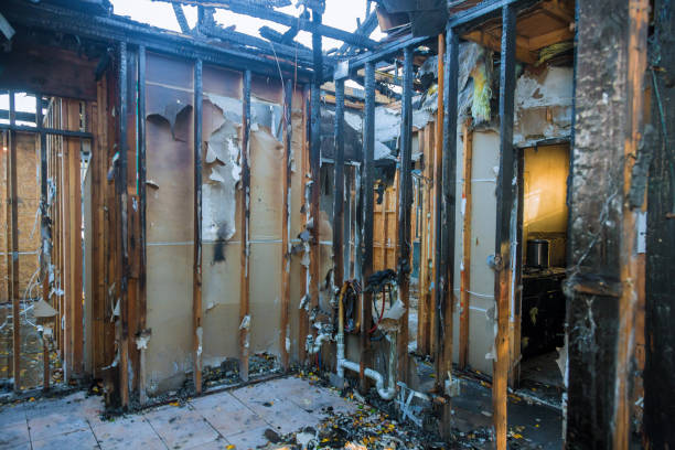 Professional Structural Rebuild technician working in Bourbon, IN
